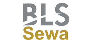 BLS E Services IPO Allotment Status