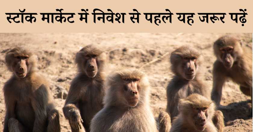Monkey Story of Stock Market Dimension