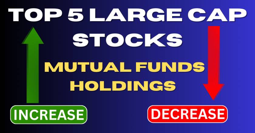 TOP 5 Large Cap Stocks to Invest
