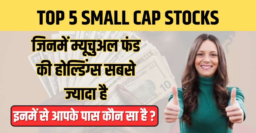 Small Cap Stocks