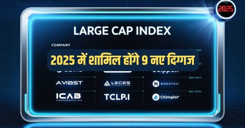 Large Cap Index