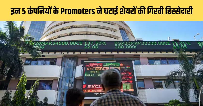 Promoters of these 5 companies reduced the pledged stake of shares